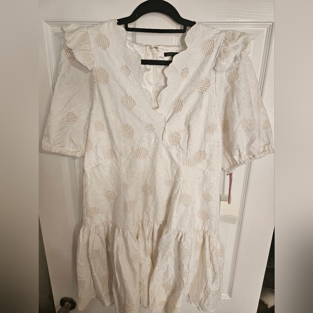 Nwt Alex Marie eyelet summer dress size 14p